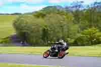 donington-no-limits-trackday;donington-park-photographs;donington-trackday-photographs;no-limits-trackdays;peter-wileman-photography;trackday-digital-images;trackday-photos